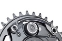 EASY Bash Guard + Nuts